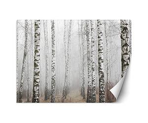 Feeby Fotomurales Naturaleza Árboles 400x280 cm Gris Tejido No Tejido Papel Tapiz Fotográfico Decorativos Murales Dormitorio Oficina Hotel Spa Madera De Abedul Niebla