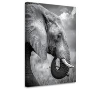 Feeby Impresión en Material Tejido no Tejido - cuadros decoracion salon modernos - cuadro lienzo - Elefante África sabana blanco y negro - 30x45 cm - cuadros decoracion salon