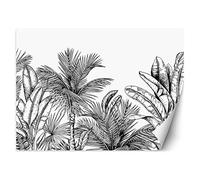 Feeby Papel Pintado Exotismo Trópicos Boceto 300x210 cm blanco y negro XXL Fotomurales Tejido No Tejido Decoración De Pared Moderna Decorativos Dormitorio Para la sala La selva Hojas Palmeras