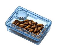 Feeding Dish Reptile, Escape Proof Bowl, Compartment Tank Accessory for Pets, Portable Habitat Tool, Tough Build Design, 1 Pieza 5x4x2 Inch Dish with Clear Finish for Leopard Gecko Hermit Crab Use