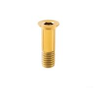 Feegow Tornillos de rueda de titanio de grado 5, para pernos de polea de desviador trasero SRam, piezas de repuesto ligeras para desviador de bicicleta (dorado)