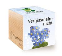 Feel Green Ecocube Forget-Me-Not, idea de regalo sostenible (100% ecológico), para cultivar tus propias plantas/set de cultivo, plantas en cubos de madera, fabricado en Austria