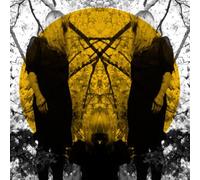 Feel It Break by Austra (2011-05-17)