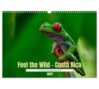 Feel the Wild - Costa Rica (Wall Calendar 2027 DIN A3 landscape), CALVENDO 12 Month Wall Calendar: The beauty of tropical wildlife