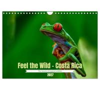Feel the Wild - Costa Rica (Wall Calendar 2027 DIN A4 landscape), CALVENDO 12 Month Wall Calendar: The beauty of tropical wildlife