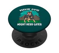 Feelin' Cute Might Herd Later Funny Australian Ganadero Perro PopSockets PopGrip Adhesivo