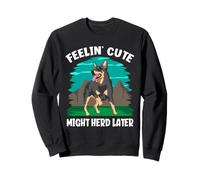 Feelin' Cute Might Herd Later Funny Australian Ganadero Perro Sudadera