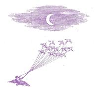 Feeling Figures – Migration Magic – Vinilo 12" – Importación USA