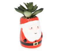 FEERIC LIGHTS & CHRISTMAS - Planta de Navidad en Maceta h11 2ass - Modelo a