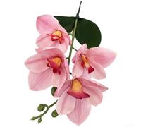 Feeshoppher Orquídea artificial Cymbidium 3D EVA con tallos flexibles, arreglo floral realista de 4 cabezas para centros de mesa de boda, decoración del hogar, estilo de fiesta y eventos, 37 (G)