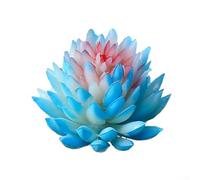 Feeshoppher Plantas suculentas artificiales de PVC con diseño realista realista para escritorio, hogar, oficina, jardín, boda, fiesta, decoración, incluyendo aloe vera jacinta de agua (caballeroso)