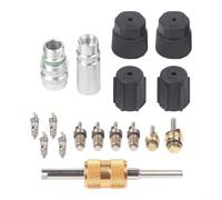 Feeshoppher R134a Juego de núcleo de válvula de aire acondicionado de coche, kit de montaje de núcleo de válvula de CA 17 piezas para Buick Gold Silver Black Repair Maintenance Tools