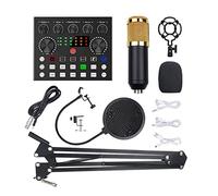 Fegtrtyoa BM800 - Kits de micrófono con tarjeta de sonido en , brazo de tijera de suspensión, soporte de choque y filtro para grabación de estudio, color dorado