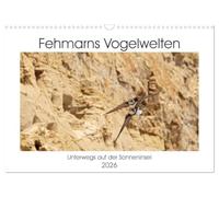 Fehmarn Vogelwelten (Wandkalender 2026 DIN A3 quer), CALVENDO Monatskalender: Die Vögel auf der Insel Fehmarn