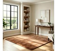 FEIJDON Alfombra Salon 75 x 105 cm Lavable en Lavadora, Pelo Corto, Antideslizante Tapete Sala Uni, Minimalista, Fácil Cuidado para Salón, Dormitorio, Sala, Oficina, Niños, marrón
