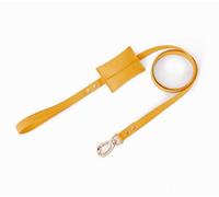 feiling Correa de piel para perros de 1,5 m, con bolsillo pequeño extraíble, para perros pequeños, medianos y grandes (amarillo, 2,5 cm x 150 cm)