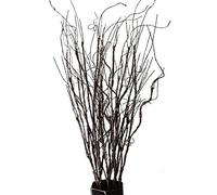 FeiLix 10 Ramas Artificiales Decorativas secas, Plantas Verdes Falsas de 30.7 Pulgadas, para Interiores y Exteriores, Enredaderas Vintage para el hogar, jardín, Hotel, Oficina, Fiesta, decoración de