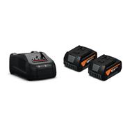 Power Set FEIN (2 x 5,0 Ah + GAL1880CV)