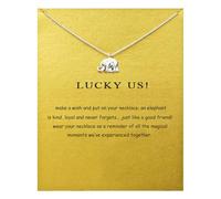 Feizikaw Joyería con diseño Simplicidad elegante: con colgante de elefante de plata ley, delicada para mujer, medallón ligero (Silver, One Size)