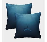 FELASBUID Balena-Cola-Rayo Solar-Vida Marina-Arte Fundas Cojines para Sofá 2 Piezas Funda De Almohada Modernos Decorativo Almohadon Cubre Sala Casa Decor 40x40cm