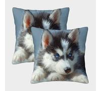 FELASBUID Cachorro Siberiano - ilustración de Animales Lindos Fundas De Cojín del Sofá Juego De 2 Fundas De Almohada Decorativos Cuadrado Almohadon Cubre De Estar Sofás Jardín 50x50cm