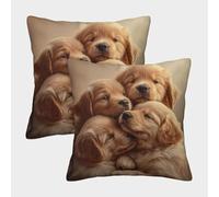 FELASBUID Cachorros Dorados - ilustración de Animales Lindos Fundas De Cojín del Sofá Juego De 2 Arte Fundas De Almohada Decorativos Cuadrado Almohadon Cubre De Estar Sofás Jardín 45x45cm