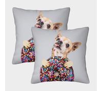 FELASBUID Chihuahua-Perro-Divertido-fotografía-Mascota Fundas Cojines para Sofá 2 Piezas Arte Funda De Almohada Confortable Square Throw Cojín Sala Casa Decor 50x50cm