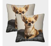 FELASBUID Chihuahua Puppy - ilustración de Mascota Linda Fundas Cojines para Sofá 2 Piezas Arte Funda De Almohada Decorativo para Sala Funda De Cojines para Sala Hogar 45x45cm