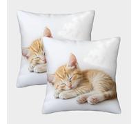 FELASBUID Gatito Lindo Que Duerme, Estilo Gato bebé Adorable Fundas Cojines para Sofá 2 Piezas Arte Funda De Almohada Throw Cojín Decoración Funda Cojin para Sala Hogar 40x40cm