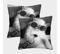 FELASBUID Gatito Lindo Que Lleva Sombras - Estilo Divertido de fotografía de Mascotas Fundas Cojines para Sofá 2 Piezas Funda De Almohada Modernos Decorativo Throw Cojín para Sala Hogar 45x45cm