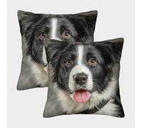 FELASBUID Lindo Perro Cara-Frontera Collie Estilo de Mascota Fundas De Cojín del Sofá Juego De 2 Arte Fundas De Almohada Decorativos Cuadrado Throw Cojín De Estar Dormitorio 50x50cm