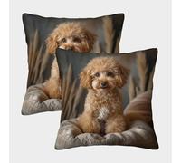 FELASBUID Perrito de Poodle Lindo - Estilo de Mascota Adorable Fundas Cojines para Sofá 2 Piezas Arte Funda De Almohada Modernas Decorativa Almohadas Fundas De Estar Dormitorio 40x40cm