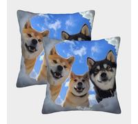FELASBUID Perros Felices - Fotografía de Animales Lindos Fundas Cojines para Sofá 2 Piezas Arte Funda De Almohada Decorativo para Sala Throw Cojín De Estar Sofás Jardín 40x40cm