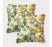 FELASBUID Vidas de Calabaza-Jardín de otoño Acuarela Fundas Cojines para Sofá 2 Piezas Arte Funda De Almohada Confortable Square Throw Cojín Sala Casa Decor 50x50cm