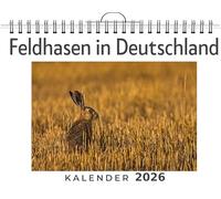 Feldhasen in Deutschland: (Wandkalender 2026, Kalender DIN A4 quer, Monatskalender im Querformat mit Kalendarium, das perfekte Geschenk)