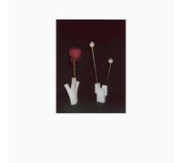 Félicia Atkinson - The Flower And The Vessel