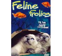 Feline Frolics - Feline Frolics [USA] [DVD]