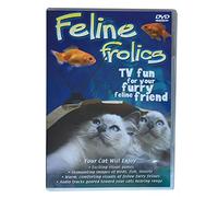 Feline Frolics - TV Fun For Your Furry Feline Friend [Reino Unido] [DVD]