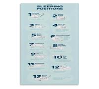 Feline Rest Postures Poster Cat Behavior Understanding Art