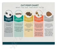 Feline Stool Guide Poster Cat Digestive Health Texture Chart(Framed,12x18inch(30x45cm))