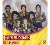 Felinos - En Accion