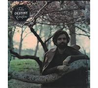Felix Cavaliere - Destiny