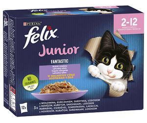 Felix Fantastic Jalea Junior 12x85g
