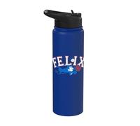 Felix The Cat Americana Catch Baseball Stainless Steel Insulated Water Bottle