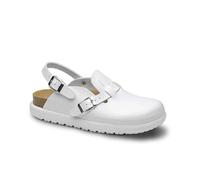 FELIZ CAMINAR - Zueco Sanitario Bio Vega/Antideslizantes/Material Reciclado/Plantilla de corhco Anatomica (Bio Vega 42)