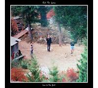 Fell To Low - Low In The Dust [Vinilo]