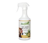 Stiefel Top Shine Aloe Vera - 750 ml Stiefel