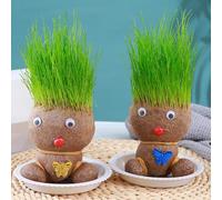 Fellflying 2 Juguete para Crecer El Cabello con Cabeza De Hierba - Planta con Cabeza De Hierba Que Crece En Macetas De Bonsái | Decoración De Plantas De Muñecas con Cabeza De Hierba