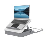 Fellowes Caja de Almacenamiento Breyta W
