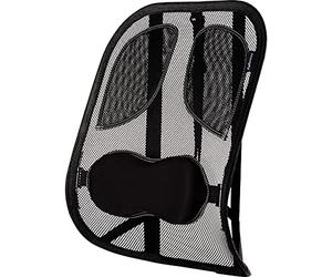 Fellowes - Mesh Professional Series - Respaldo Ergonómico de Rejilla - Cojín con Soporte Lumbar de Malla - Apoyo para la Espalda, Adaptable a Cualquier Silla. Ayuda a Mantener la Postura Correcta